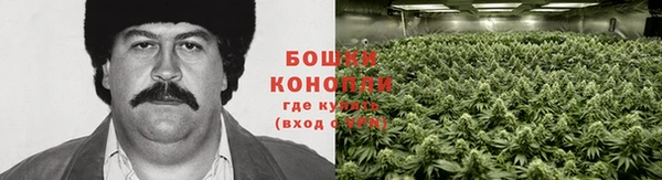 MESCALINE Алексин