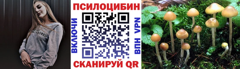 Псилоцибиновые грибы GOLDEN TEACHER  kraken ссылки  Орёл  наркотики 